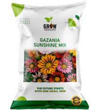 Grow Delight Imported Gazania Sunshine Mix 100 Seeds Grow Delight Imported Gazania Sunshine Mix 100 Seeds